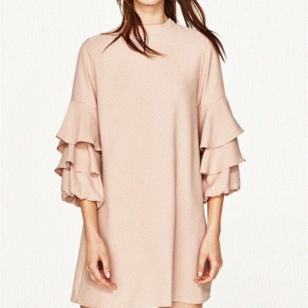 Zara Dress with Frill Sleeves
